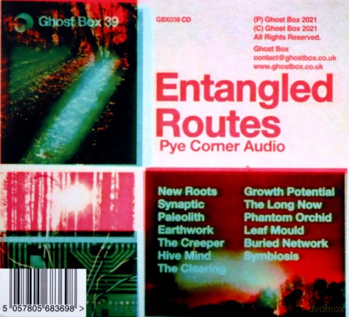 Pye Corner Audio: Entangled Routes [CD]