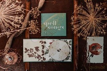 Spell Songs: Spell Songs Ii: Let The Light In [CD]