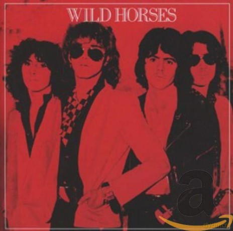 Wild Horses: Wild Horses [CD]