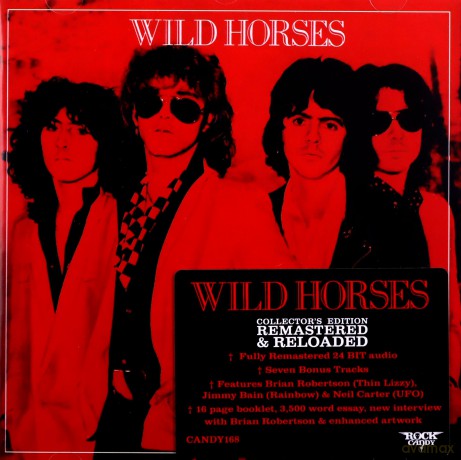 Wild Horses: Wild Horses [CD]