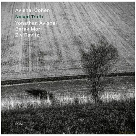 Avishai Cohen: Naked Truth [CD]