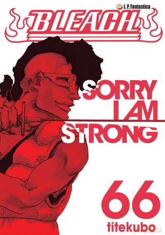 Bleach (Tom 66) - Tite Kubo [KOMIKS]