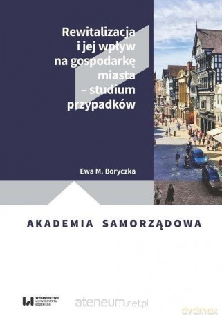 Cyfryzacja w działaniach na rzecz efektywności.. - Anna Pamuła [KSIĄŻKA]
