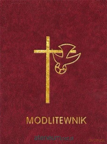 Modlitewnik - Panie, naucz nas modlić się [KSIĄŻKA]