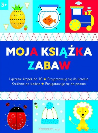 Moja książka zabaw 3+ [KSIĄŻKA]