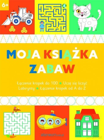 Moja książka zabaw 6+ [KSIĄŻKA]