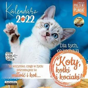 Kalendarz 2022 ścienny Classic Koty [KALENDARZ]