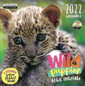 Kalendarz 2022 ścienny Classic Wild puppies [KALENDARZ]
