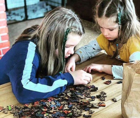 Puzzle drewniane. Wild Horses on the Beach M [PUZZLE]