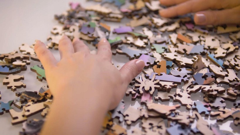 Puzzle drewniane. Wild Horses on the Beach M [PUZZLE]