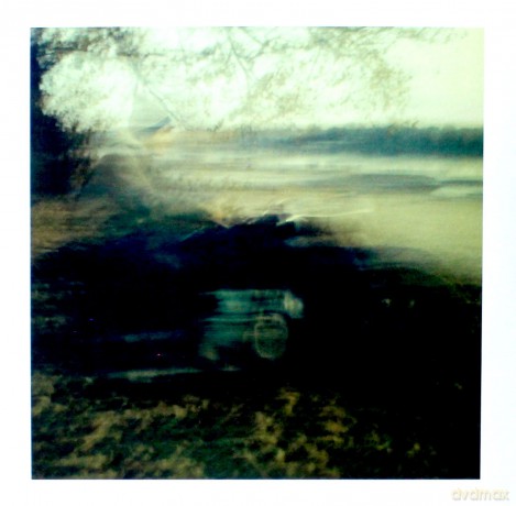 Wierszokleta: Januszek [Winyl]