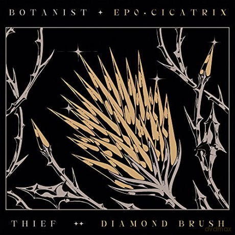 Botanist Thief: Cicatrix Diamond Brush (digipack) [CD]