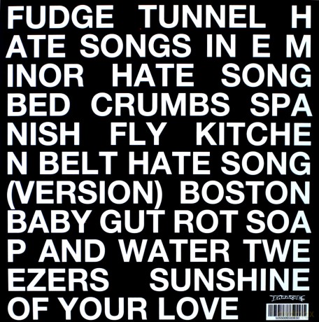 Fudge Tunnel: Hate Songs In E Minor [Winyl]
