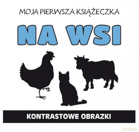 Na wsi [KSIĄŻKA]