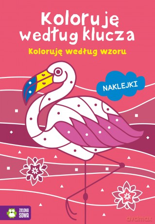 Koloruję według wzoru. Koloruję według klucza [KSIĄŻKA]