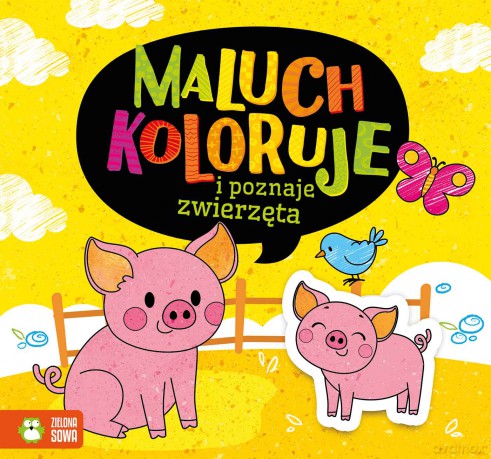 Maluch koloruje i poznaje zwierzęta [KSIĄŻKA]
