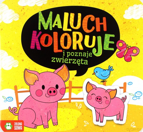 Maluch koloruje i poznaje zwierzęta [KSIĄŻKA]