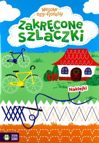 Zakręcone szlaczki. Wesołe esy-floresy [KSIĄŻKA]