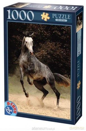 D-TOYS 1000 el. Cętkowany koń [PUZZLE]