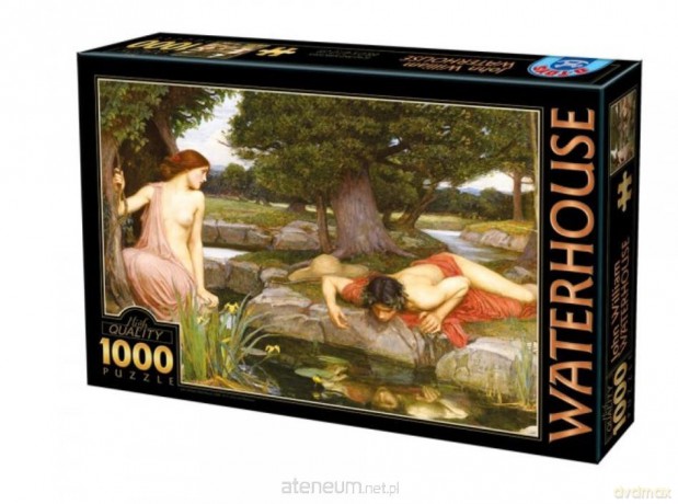 D-TOYS 1000 el. Waterhouse, Echo i Narcyz [PUZZLE]