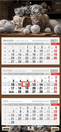Kalendarz 2022 trójdzielny Kotki [KALENDARZ]