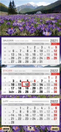 Kalendarz 2022 trójdzielny Krokusy [KALENDARZ]