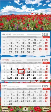 Kalendarz 2022 trójdzielny Maki [KALENDARZ]