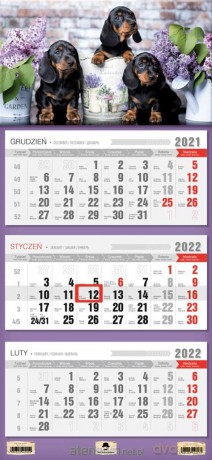 Kalendarz 2022 trójdzielny Pieski [KALENDARZ]