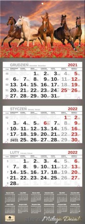 Kalendarz 2022 trójdzielny Premium Konie [KALENDARZ]