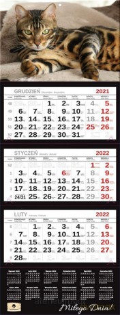 Kalendarz 2022 trójdzielny Premium Kot [KALENDARZ]