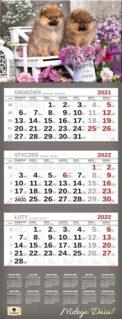 Kalendarz 2022 trójdzielny Premium Pieski [KALENDARZ]
