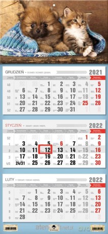 Kalendarz 2022 trójdzielny Przyjaciele [KALENDARZ]