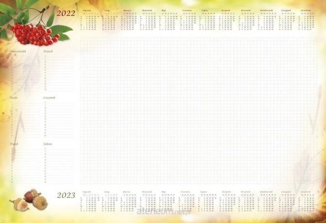 Planer 2022 B3 z listwą Jarzębina T-2-B3-6 [KALENDARZ]