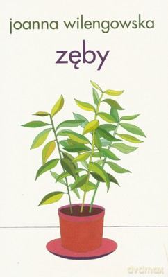 Zęby - Joanna Wilengowska [KSIĄŻKA]