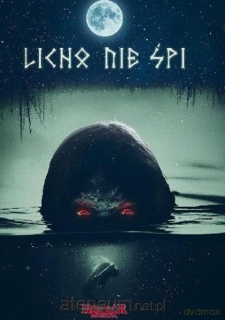 Licho nie śpi [KSIĄŻKA]
