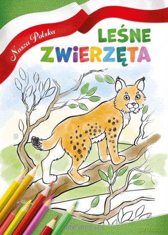 Nasza Polska. Leśne zwierzęta [KSIĄŻKA]