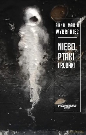 Niebo, ptaki i robaki - Anna Maria Wybraniec [KSIĄŻKA]