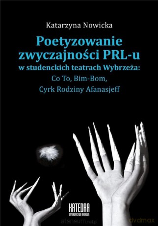 Poetyzowanie zwyczajności - Katarzyna Nowicka [KSIĄŻKA]