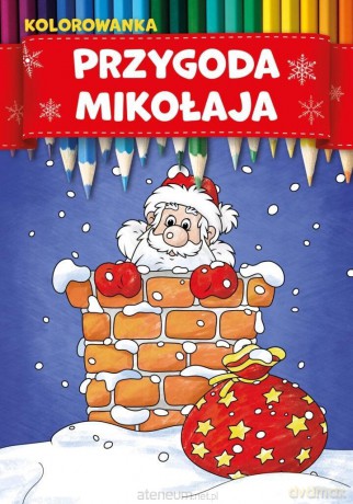 Przygoda Mikołaja - Marcin Łaptos, Anna Wiśnicka [KSIĄŻKA]