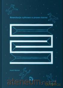 Rewolucja cyfrowa a prawo karne - Kamil Mamak [KSIĄŻKA]