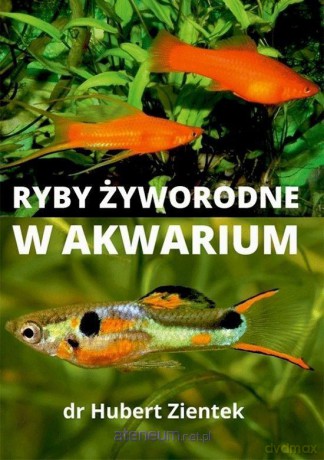 Ryby żyworodne w akwarium - Hubert Zientek [KSIĄŻKA]