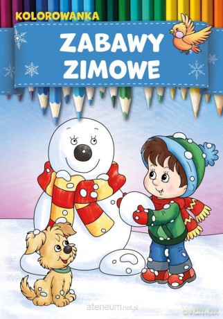 Zabawy zimowe - Marcin Łaptos, Anna Wiśnicka [KSIĄŻKA]