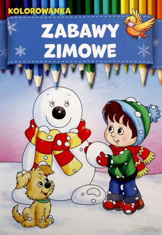 Zabawy zimowe - Marcin Łaptos, Anna Wiśnicka [KSIĄŻKA]