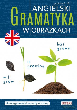 Angielski. Gramatyka w obrazkach [KSIĄŻKA]