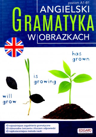 Angielski. Gramatyka w obrazkach [KSIĄŻKA]