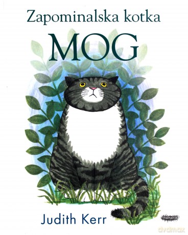 Zapominalska kotka Mog - Judith Kerr [KSIĄŻKA]