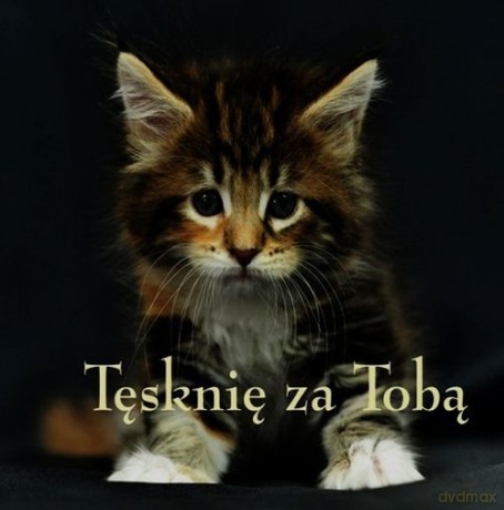 Ziarenka 17 Tęsknię za Tobą - Magdalena Beńko [KSIĄŻKA]