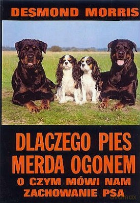 Dlaczego Pies Merda Ogonem [KSIĄŻKA]