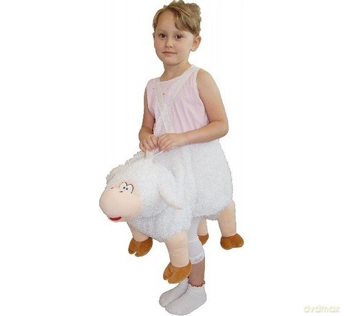Owieczka na szelkach