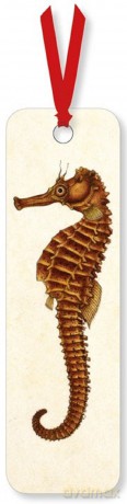 Zakładka do książki A Seahorse (opakowanie 2 sztuki)
